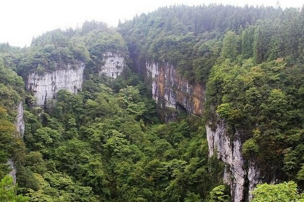 ��ˮɭ�ֹ�԰